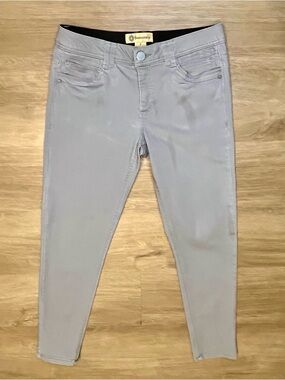 Democracy "Ab"solution Dove Gray Skinny Ankle Jeans-Size 8 EUC
